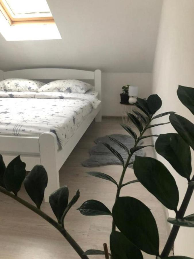 פלוזינה Peaceful Apartment מראה חיצוני תמונה